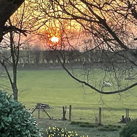 Bed & Breakfast Fox Hill Brompton (Hambleton)